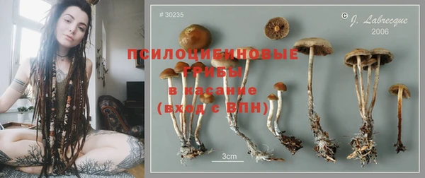 прущие крисы Армянск