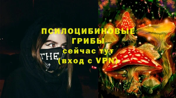 прущий лед Арсеньев